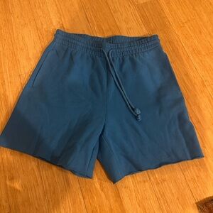 Blue Aritzia sweat shorts